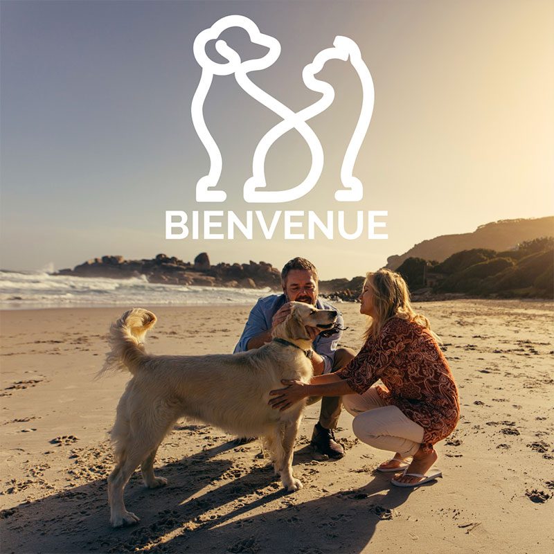 chien-chat-hotel-hossegor